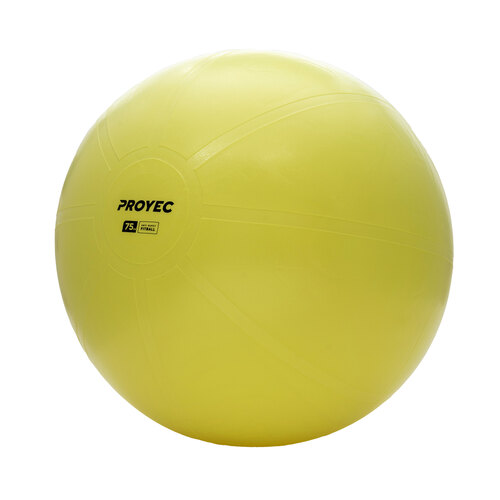 PELOTA FITBALL ESFERODINAMIA 75CM