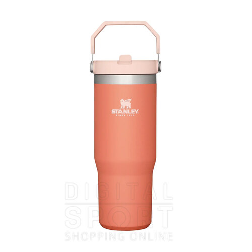 BOTELLA FLIP STRAW TUMBLER 887CM