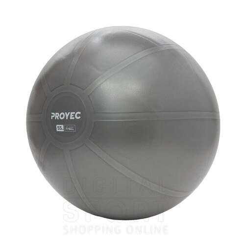 PELOTA ESFERODINAMIA 55 CM