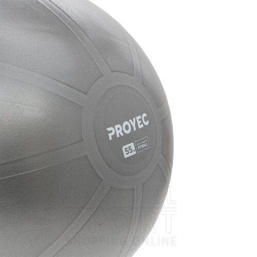 PELOTA ESFERODINAMIA 55 CM