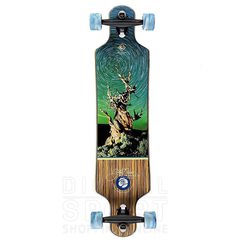 LONGBOARD BASIN BINTANG 38