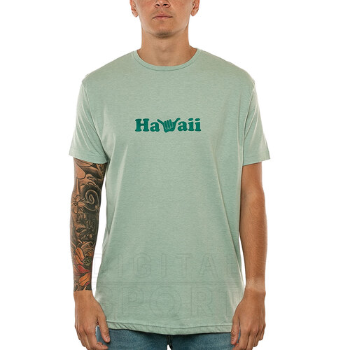 REMERA HAWAII