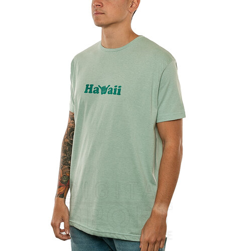 REMERA HAWAII